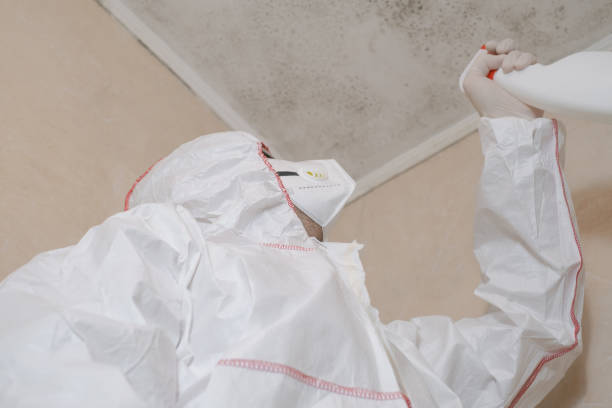 Best Health and Safety Mold Remediation in Mount Pleasant, WI