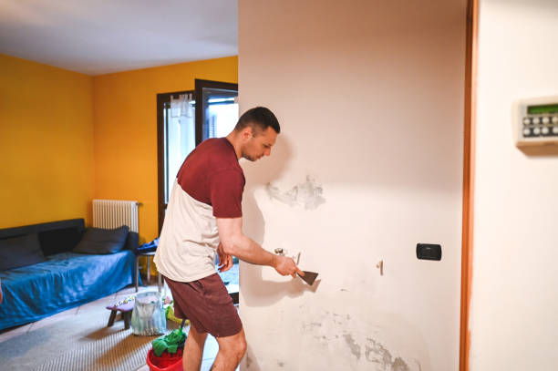 Best Residential Mold Remediation in Mount Pleasant, WI